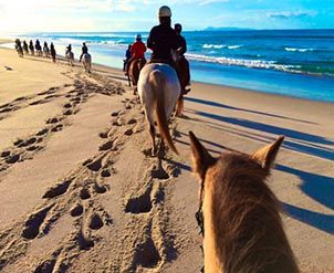 passeio a cavalo praia do rosa
