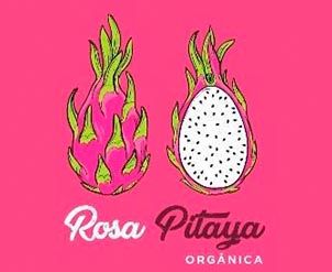 plantação de pitaya praia do rosa