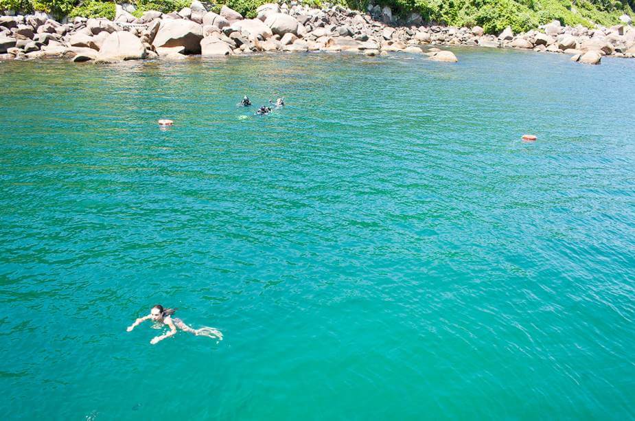 Mergulho na Ilha do Arvoredo