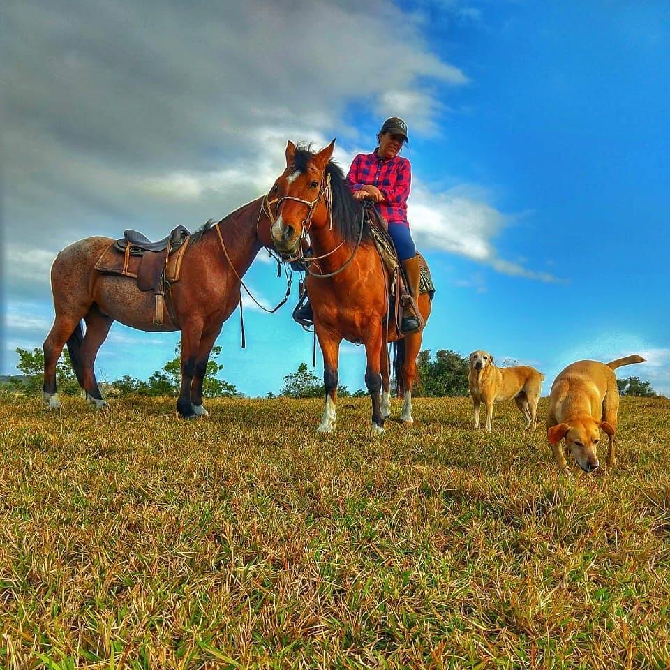 Cavalgada na Fazendinha